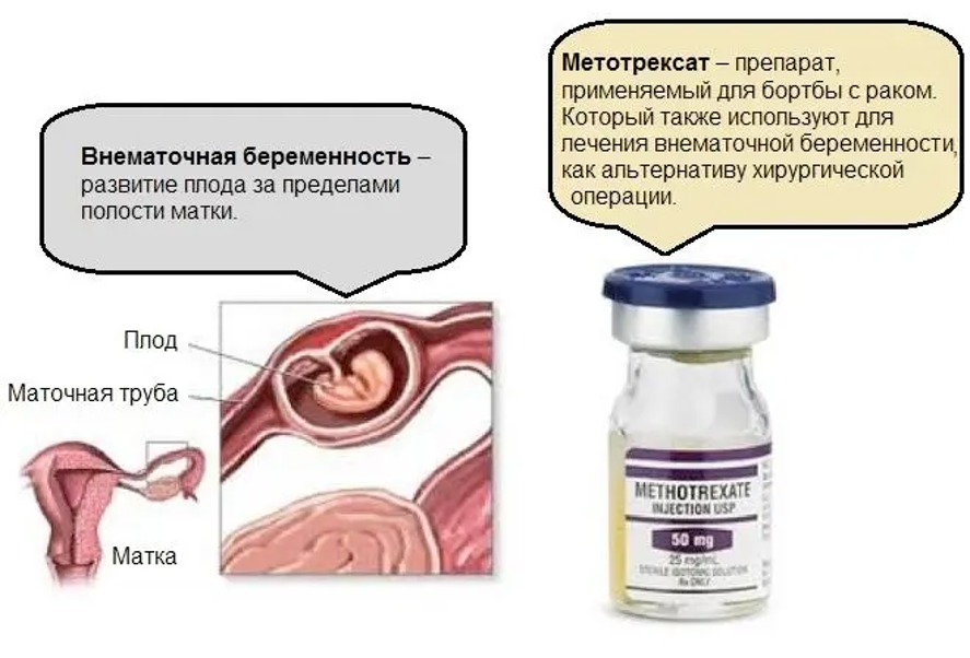 график2.png