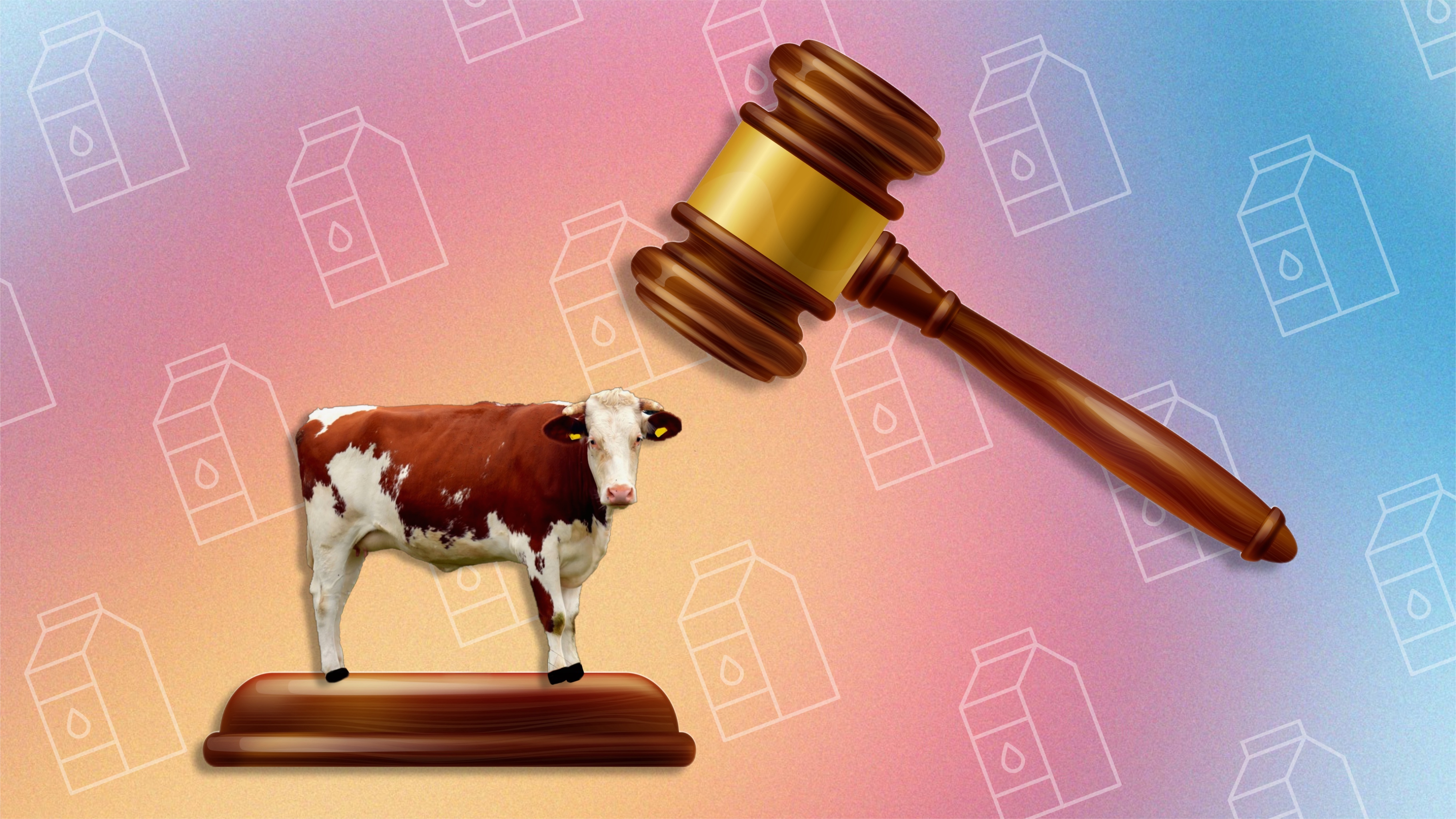 лактоза, прыщи от лактозы, непереносимость лактозы, акне от молочки, акне от лактозы, прыщи и молочка, прыщи, прыщи причины,