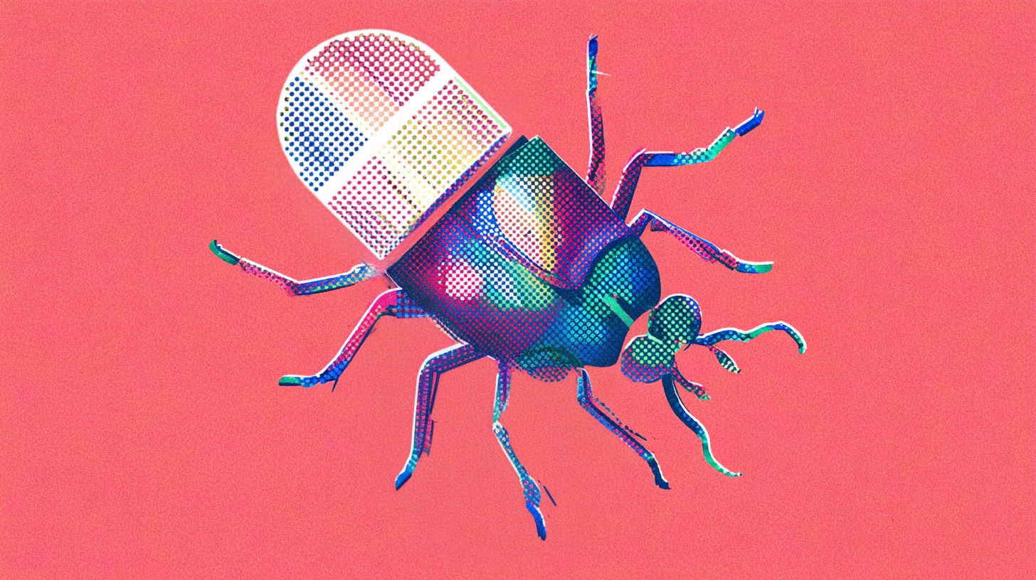 китайский долгоносик, жук-знахарь, народная медицина, китайская медицина, поедание насекомых, насекомые-лекарства, chinese weevil, чернотелки, alphitobius diaperinus